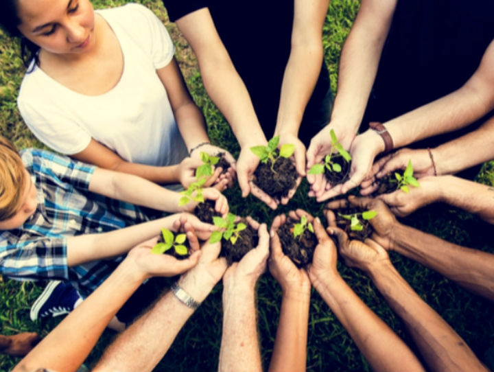 Trabalho Voluntário