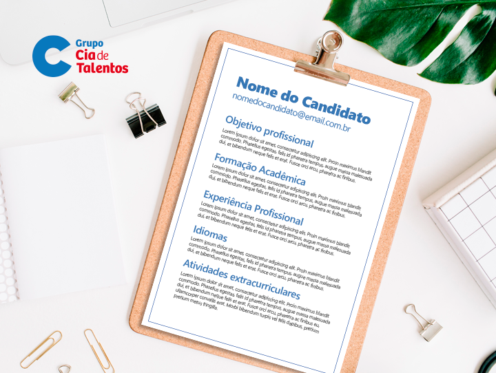 modelo de currículo