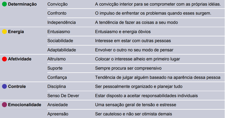 13 subfacetas ou subfatores do teste de personalidade Facet 5