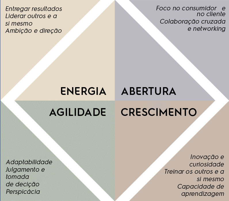 competências essenciais