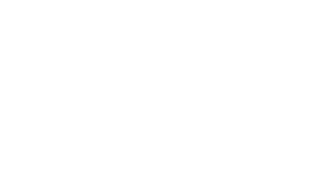 logo2